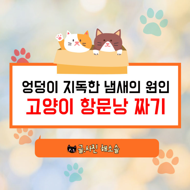  엉덩이 지독한 냄새의 원인, 고양이 항문낭 짜기