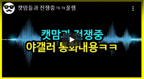 나도 고양이 좋아하고 고양이를 사랑하는 맘은 알지만.. 이건 욕먹을 짓!!