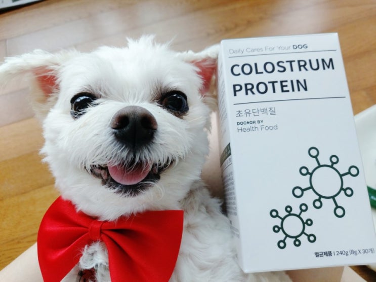 [강아지] 닥터바이 초유단백질 :: 면연력 향상에 좋은 산양유 단백질 노령견 영양제