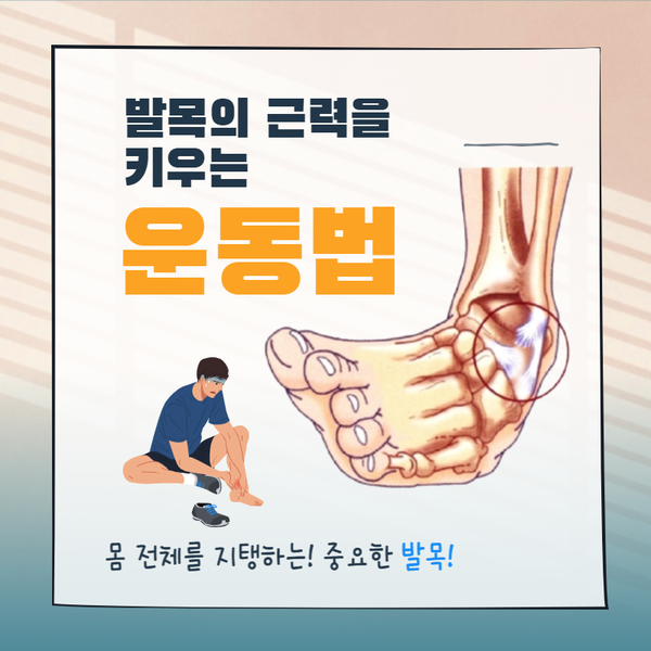  온몸을 지탱하는 발목의 근력 키우는 운동법_동두천연천양주옥정 황수민 메디요가 월 필라테스