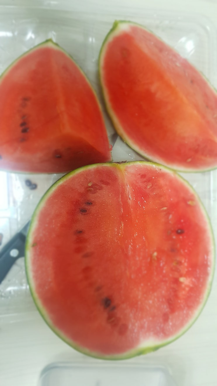  애플수박 맛이 생각보다 맛있었네요
