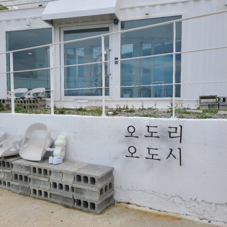  ʚ카페ɞ 포항 오션뷰카페 "오도리오도시"
