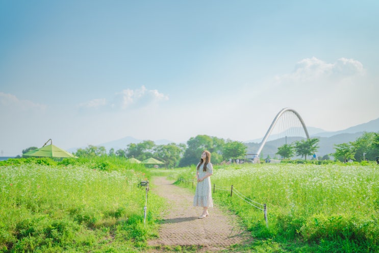  서울근교 가볼만한곳 남양주 물의정원 포토스팟