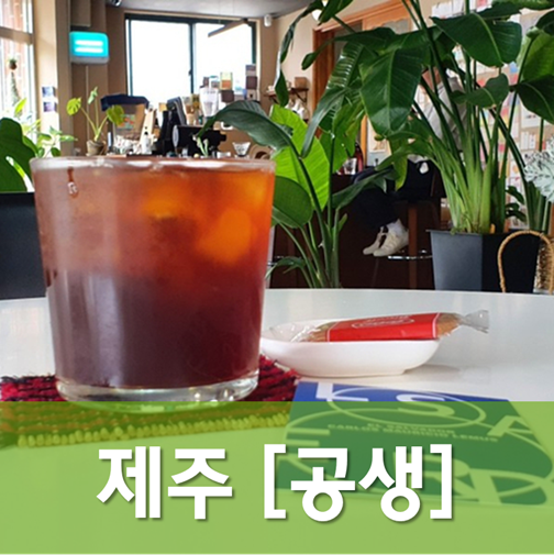  [제주/제주] 공생 - 조용한 제주 동네카페에서 향 좋은 드립커피를