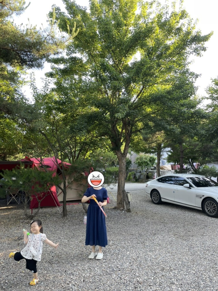  신품과 중고 면텐트, 면혼방텐트와 타프, 면쉘터 추천 모음