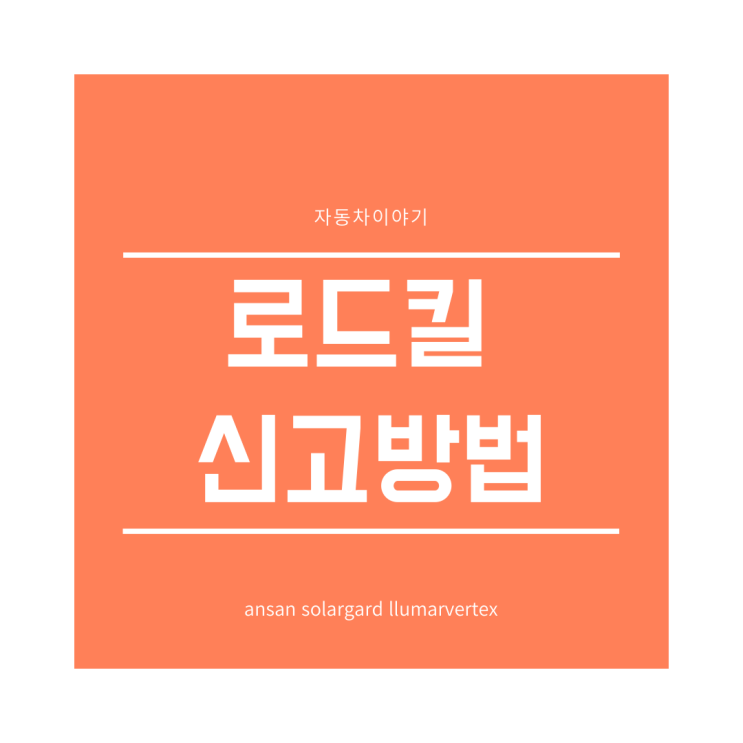  로드킬 그냥 지나치지 마시고 신고해주세요~(도로위 로드킬 신고방법)