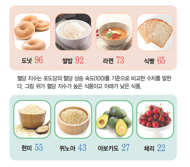  본투비 돼지들은 호르몬 체계 정상화부터 진행 - 다이어트(2)