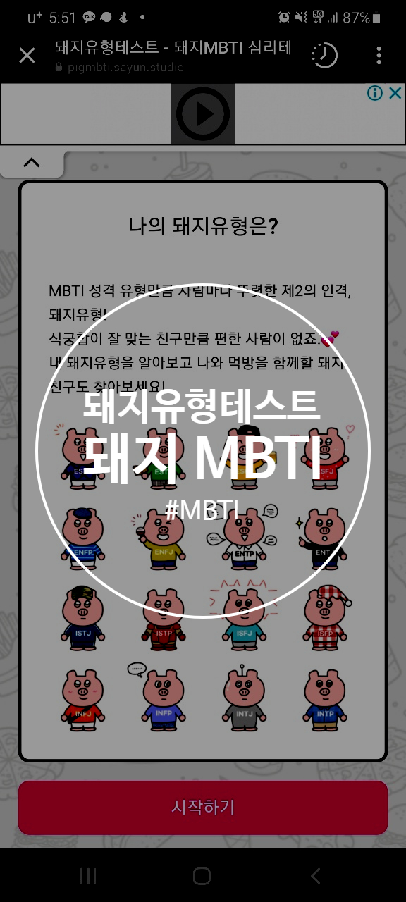 돼지유형테스트 돼지MBTI 심리테스트