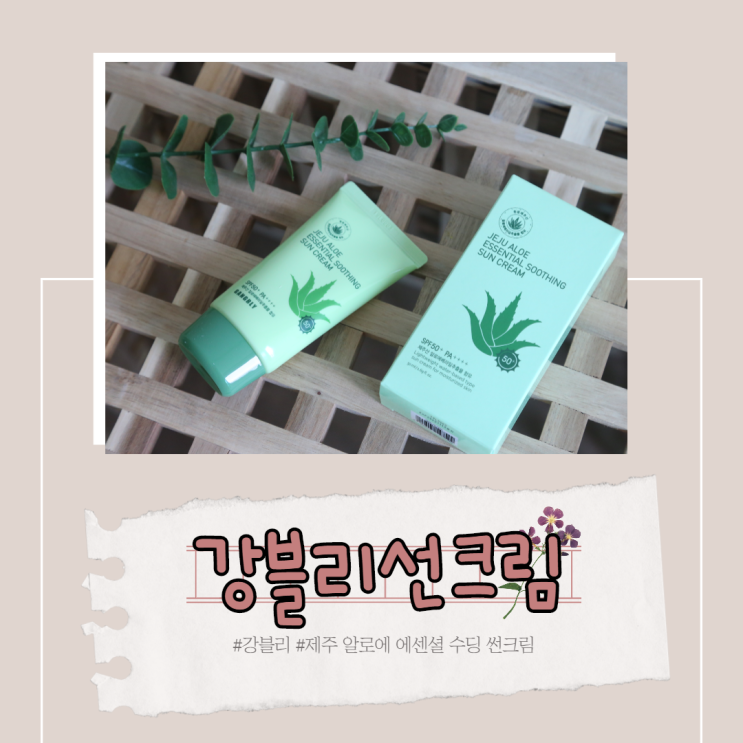  강블리선크림 제주 알로에 에센셜 수딩 썬크림