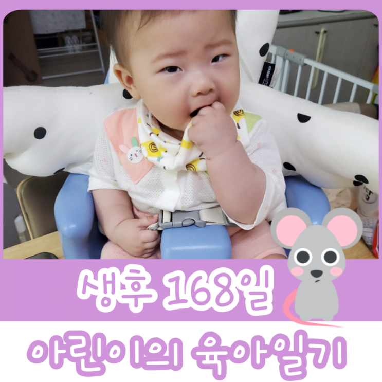  168일차 - 비닐놀이 / 24주 원더윅스