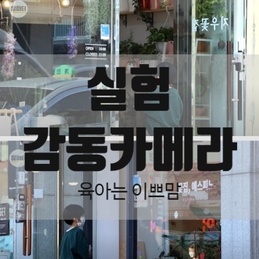  돈이 없는 어린 아이가 꽃 집에 꽃을 사러 온다면 사회실험 감동 실험 카메라