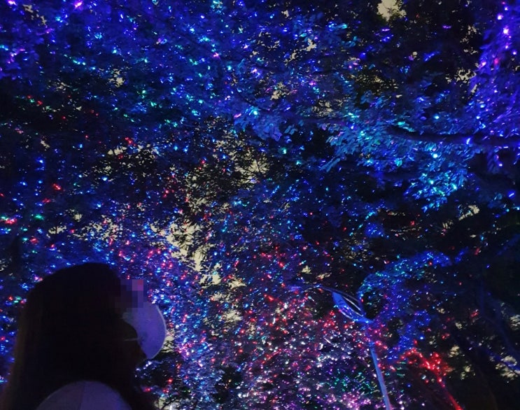 인천 야간데이트명소 진짜좋은 로맨스 맛집 수봉공원별빛축제 인스타감성 , 주차꿀팁 및 이용시간 안내