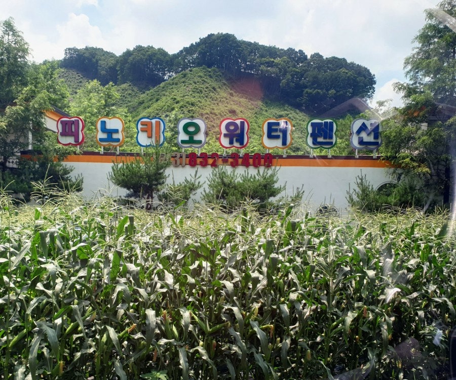 피노키오워터펜션 사진 1