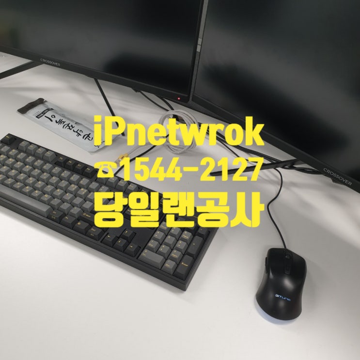  주말에도 당일 출동 가능한 랜공사 문의주세요!