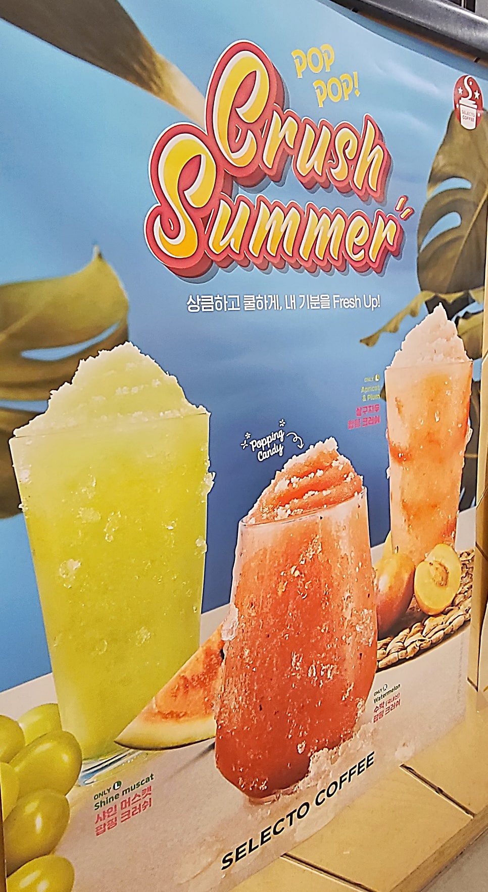 셀렉토커피 전주대점 사진 2