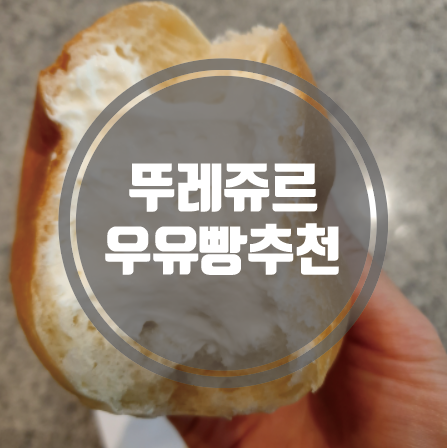  [빵지순례]뚜레쥬르 우유빵 대결구도