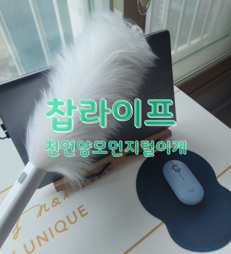  미세먼지 제거 필수품! 찹라이프 천연양모먼지털이개