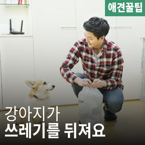  강아지가 휴지통을 뒤지는 이유는?