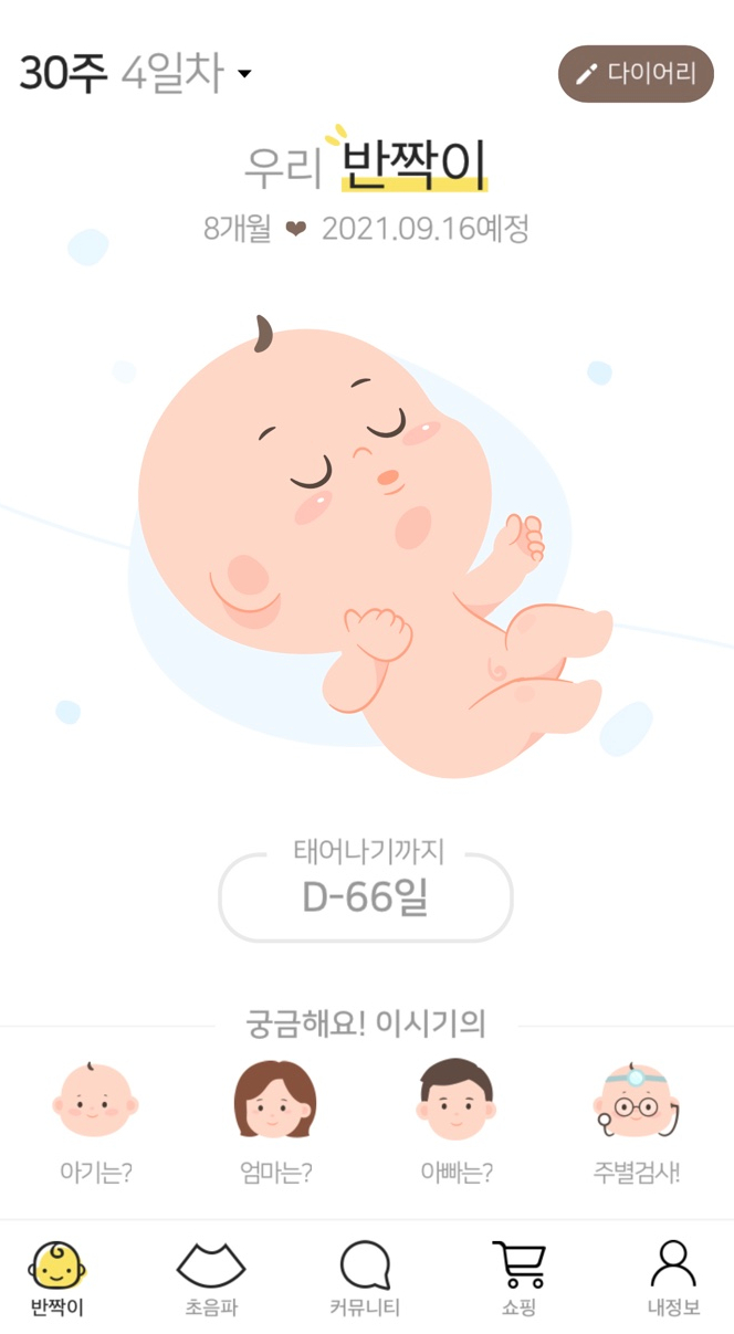  D-66 태교일기 30주 4일차