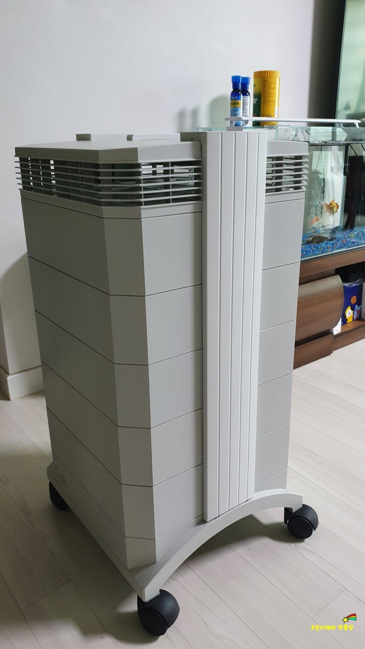  [내돈내산] 아이큐에어250 공기청정기 솔직한 사용기