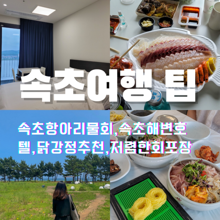  속초해변과 가까운 호텔부터 택시기사님이 추천해주신 항아리물회 /저렴한 회포장가게