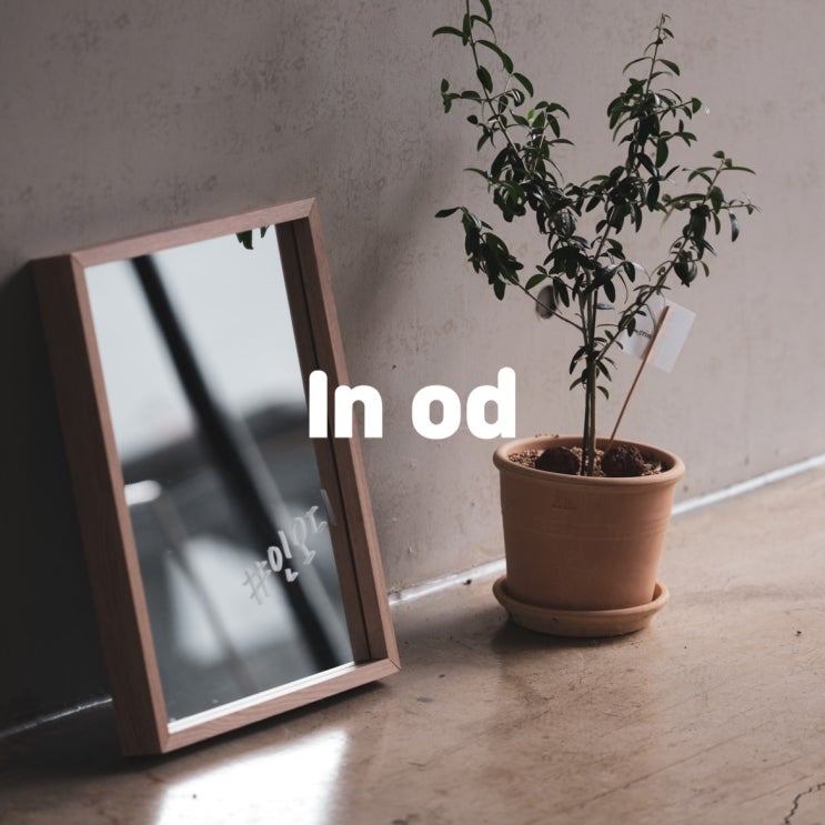  [ in od ] :: 전주 근교 카페 인오디 / 대성동 / 상관