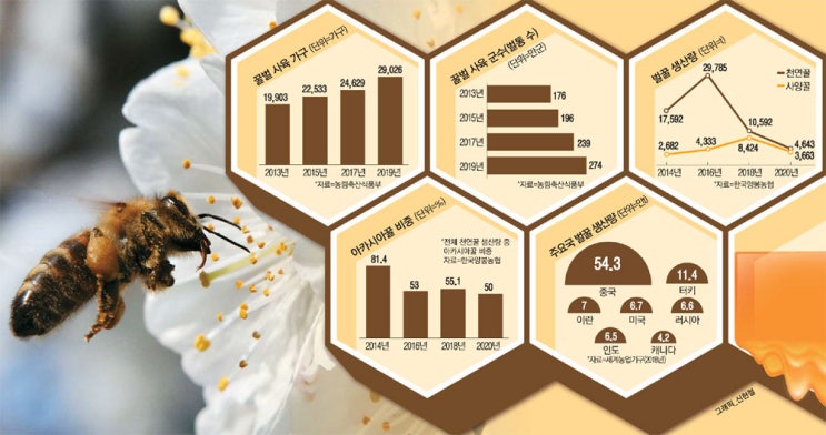  양봉 농가 6년새 2만→3만가구 폭증, 생산량은 10분1 토막