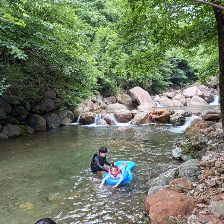  광양 옥룡계곡 바로 옆 펜션, 또 와야지!(내돈내산)