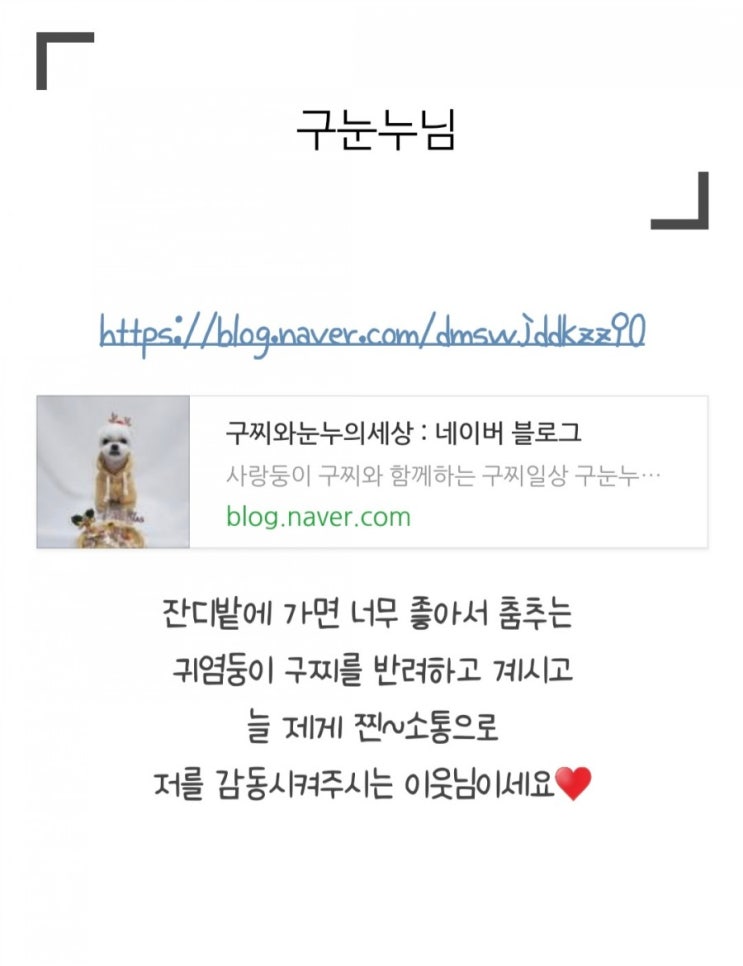  블로그 코칭 릴레이  From 앙꽁님