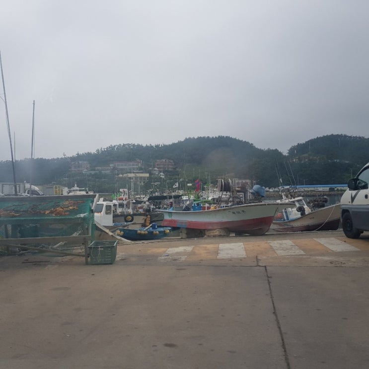  만리포 모항항 영신호 수산 방문(회, 문어, 소라...) 가볼만한곳