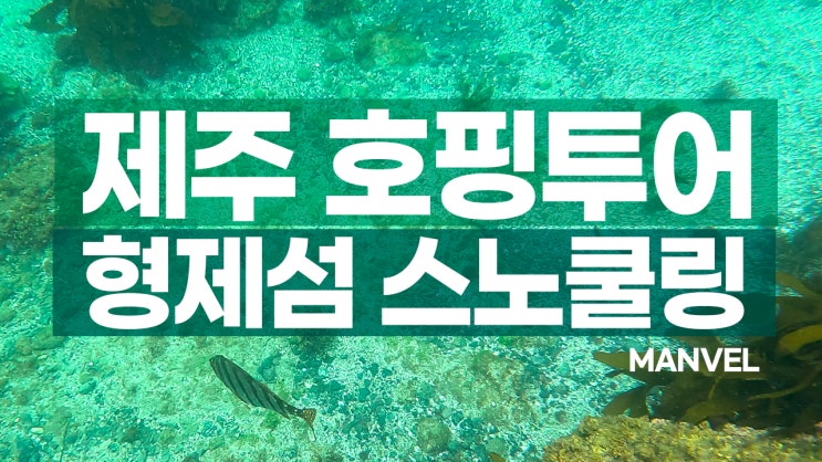  제주 여름여행ㅣ형제섬 스노쿨링