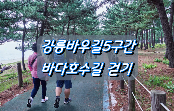 강릉바우길 가장 인기있는 코스 5구간 바다호수길 강릉바우길 가장 인기있는 코스 5구간 바다호수길