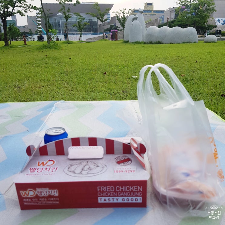  대전 반석동 쿠팡이츠 웰덤치킨 닭강정 맛집 / 국물떡볶이 까지 있는 사이드메뉴맛집