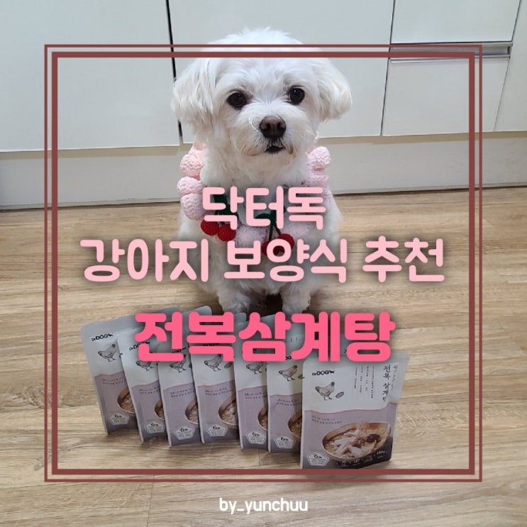 강아지 여름보양식 닥터독 전복삼계탕 / 강아지 영양식 추천
