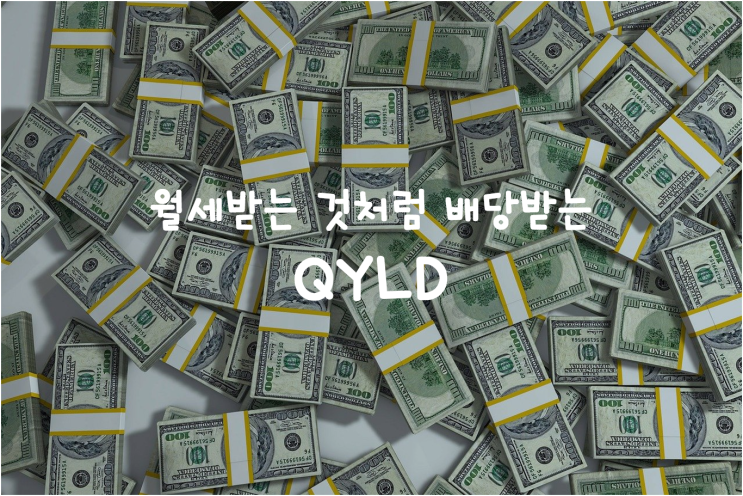  QYLD : 월세처럼 배당받는 미국 고배당 ETF