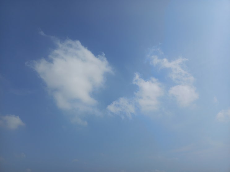 편안함과 친숙함 편안함과 친숙함