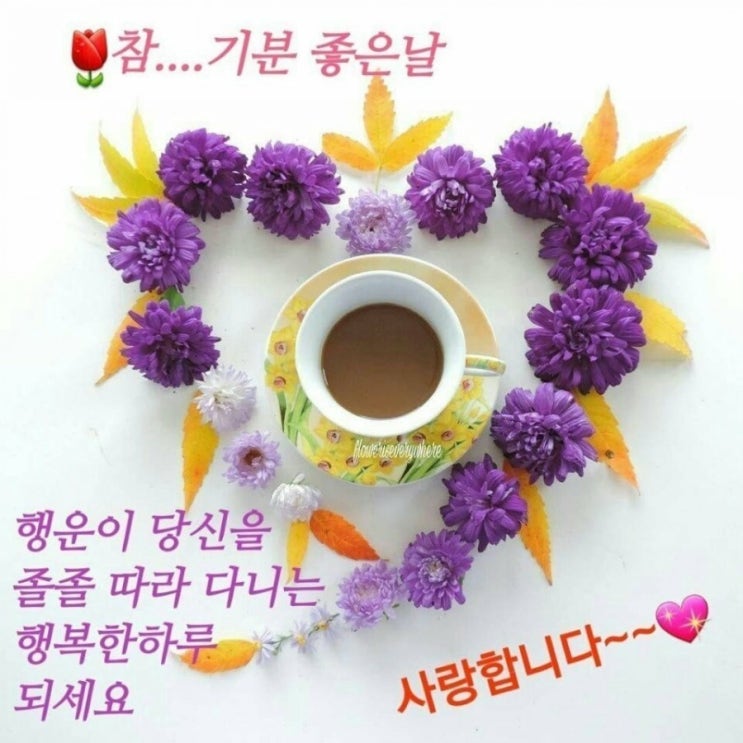  내가 모은 어르신짤 모음/안부인사/한가위/명절/고전짤/최신유행/유머
