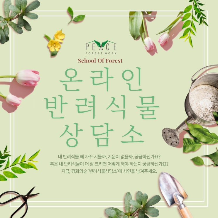  평화의숲 온라인 반려식물상담소 오픈