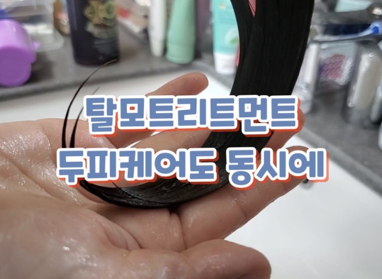탈모 트리트먼트 데콤포 청담모 진저그로우 두피케어까지챙겨요 탈모 트리트먼트 데콤포 청담모 진저그로우 두피케어까지챙겨요