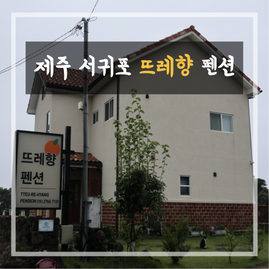 뜨레향펜션 사진 1
