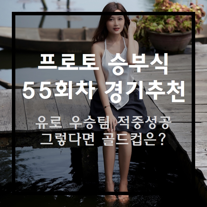  프로토 승부식 55회차 무료 경기 추천 유로 우승팀 적중성공 골드컵은