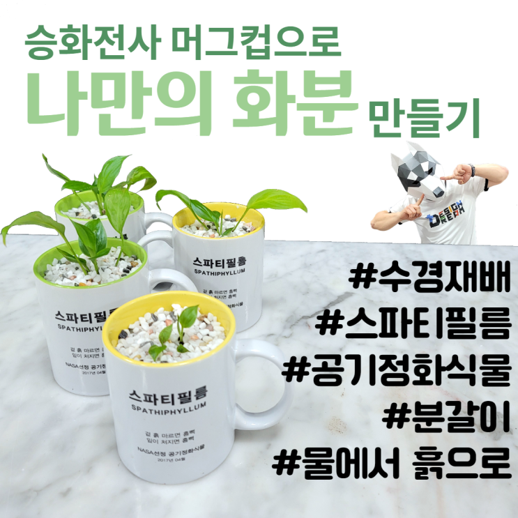  스파티 필름 분갈이 / 승화전사 머그컵으로 나만의 화분 만들어서 수경재배 식물 분갈이