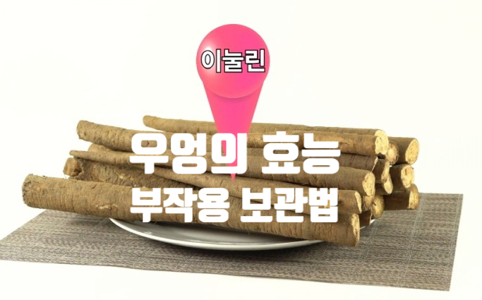  당뇨 심혈관에 좋은 우엉 효능 (ft. 부작용 고르는 법 손질법 보관법) 껍질째 먹어야 좋아요.