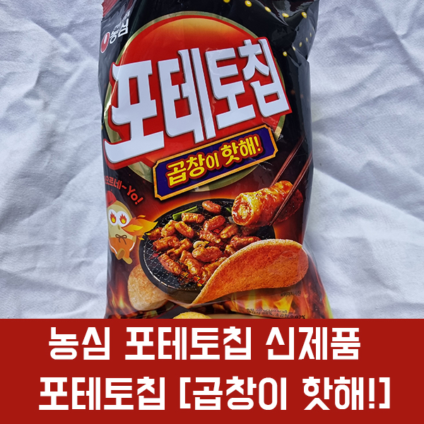  농심 포테토칩 신제품 곱창이 핫해! 후기, 가격, 칼로리/ 곱창의 맛은 어디에?
