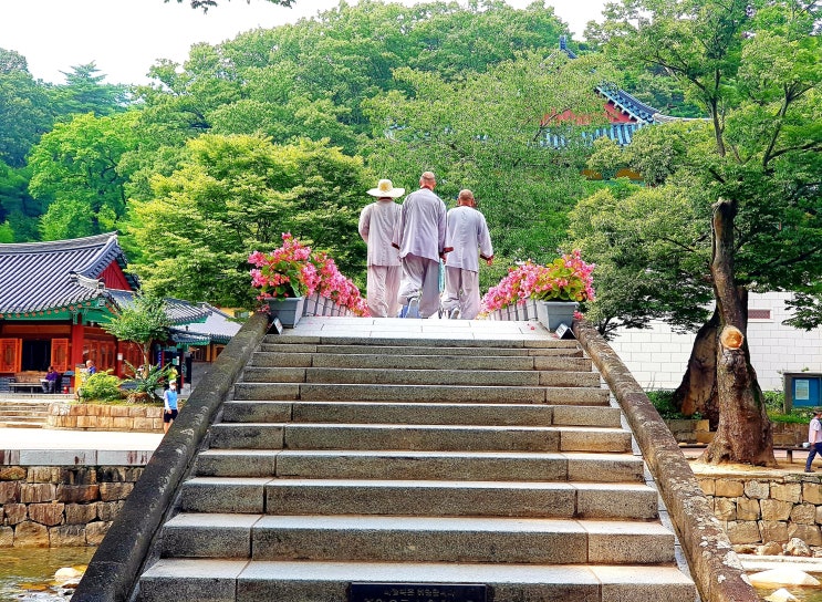  마음에 양산을 드리운 날ㅡ 통도사