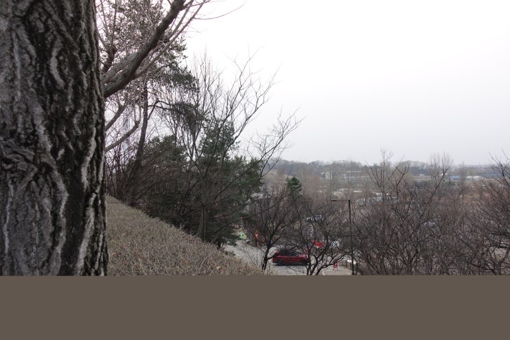  코로나 백신 2차접종 완료