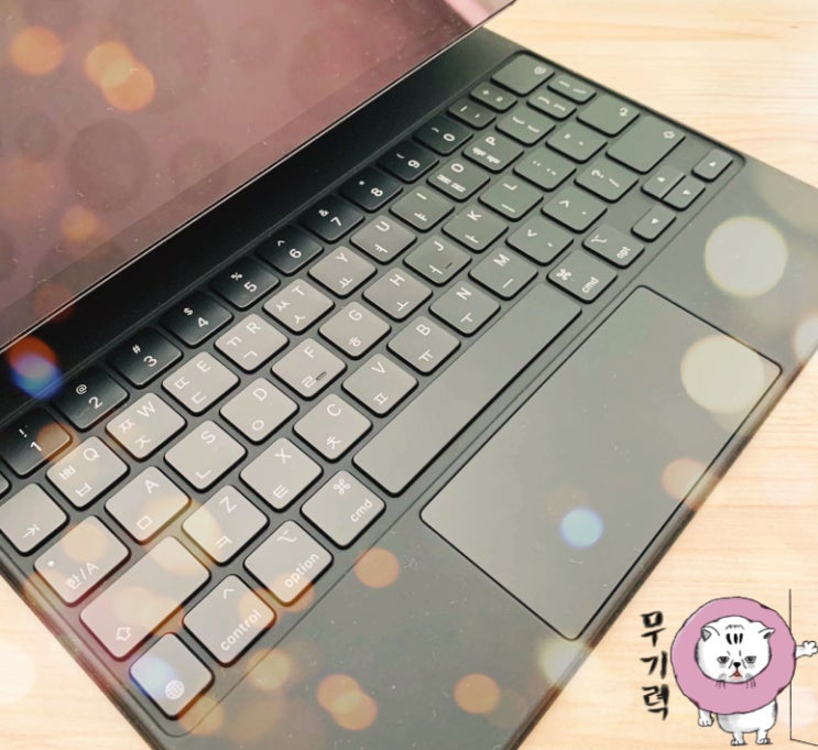  (일상톡) 다들 안녕들 하시죠? 보고드립니다.