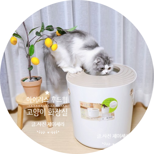 탑 도어 후드형으로 사막화와 냄새를 막아주는 아이리스 고양이용품 (프리미엄 대형 고양이화장실 PUNT-530)