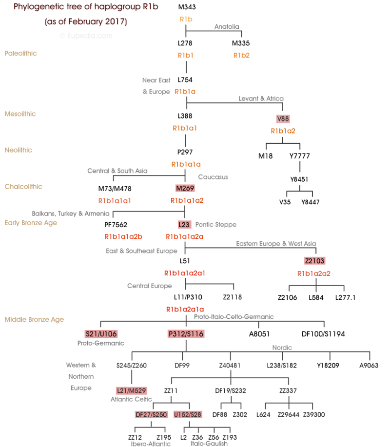 서유럽인,게르만 국가 주류 Y-DNA R1b 하플로 그룹 Y-STR모음 R1b-S21 U106 개별 인물들 R1b S21 Y ...