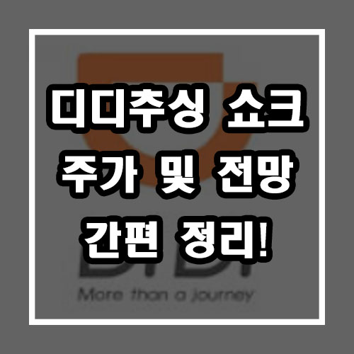  디디추싱 쇼크.. 주가 및 전망 간편 정리 (티커 : DIDI)
